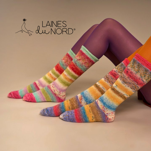 Laines du Nord CARNIVAL Socks 4-ply 100g