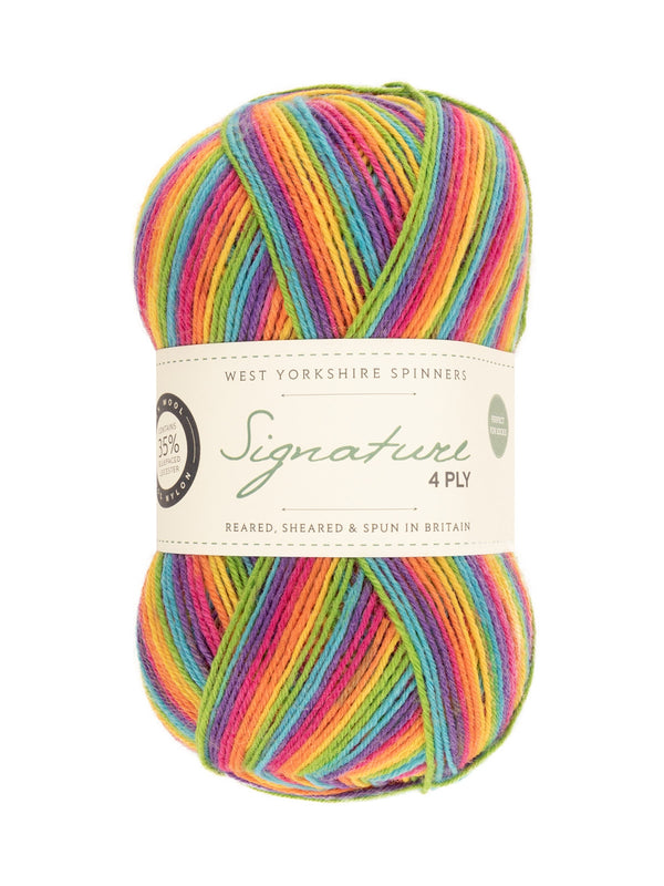 West Yorkshire Spinners Signature Cocktail Range 4 Ply 100g